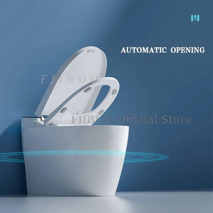 Luxury Smart Toilet Built In Water Tank