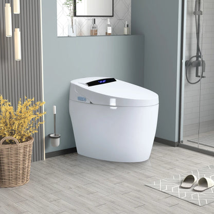Smart Toilets with Heated Bidet Seat Bidet