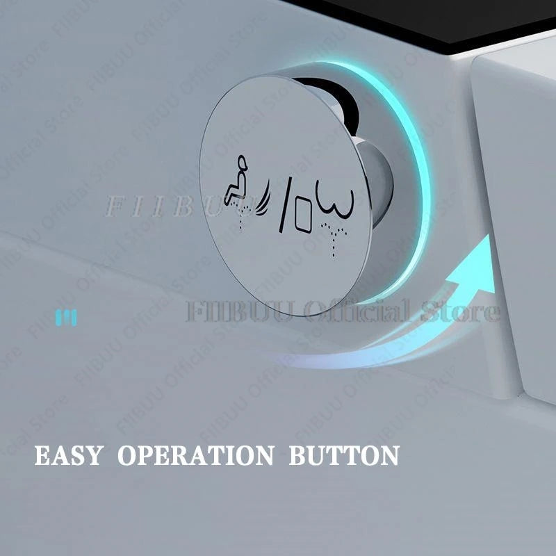 Luxury Smart Toilet Built In Water Tank