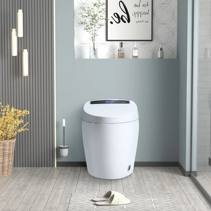 Smart Toilets with Heated Bidet Seat Bidet